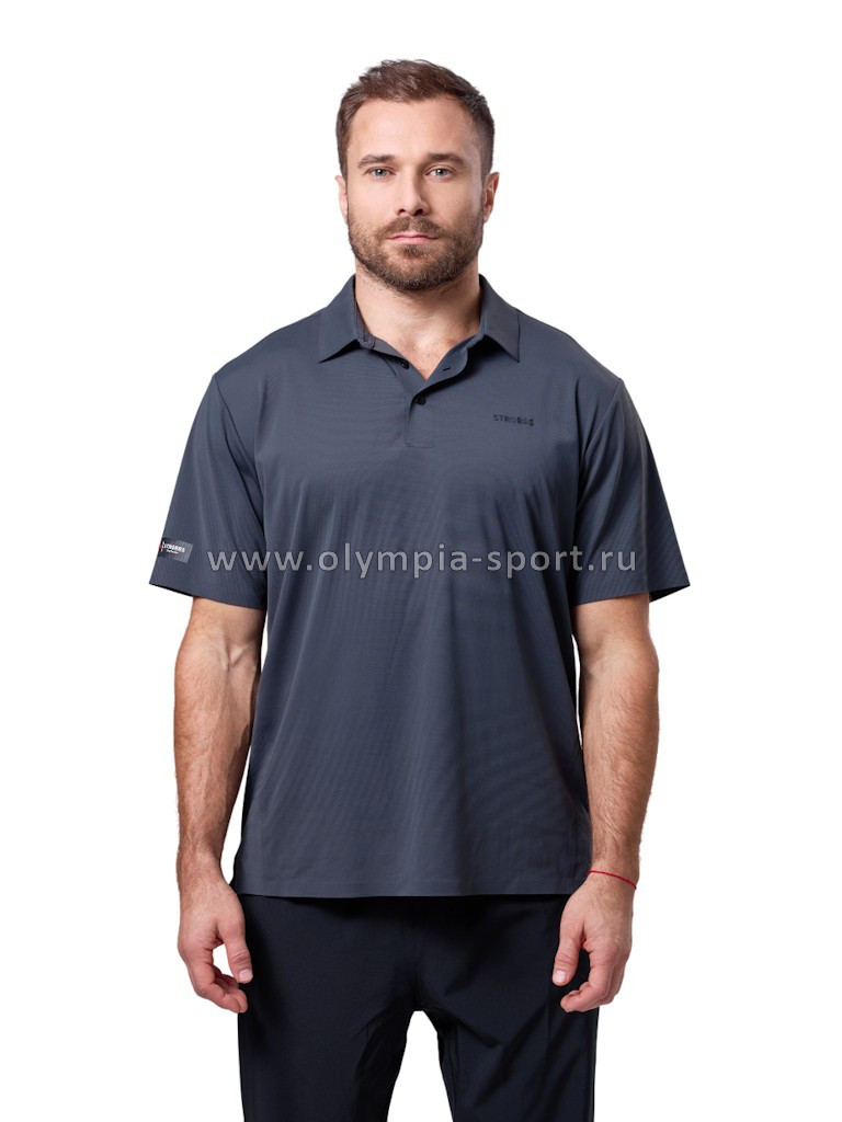 Рубашка-поло мужская Strobbs E2391-1 серый