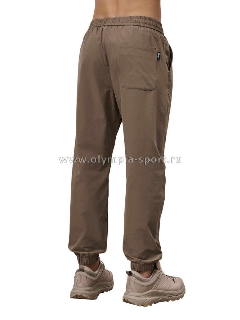 Брюки мужские Strobbs E2388-9 бежевый