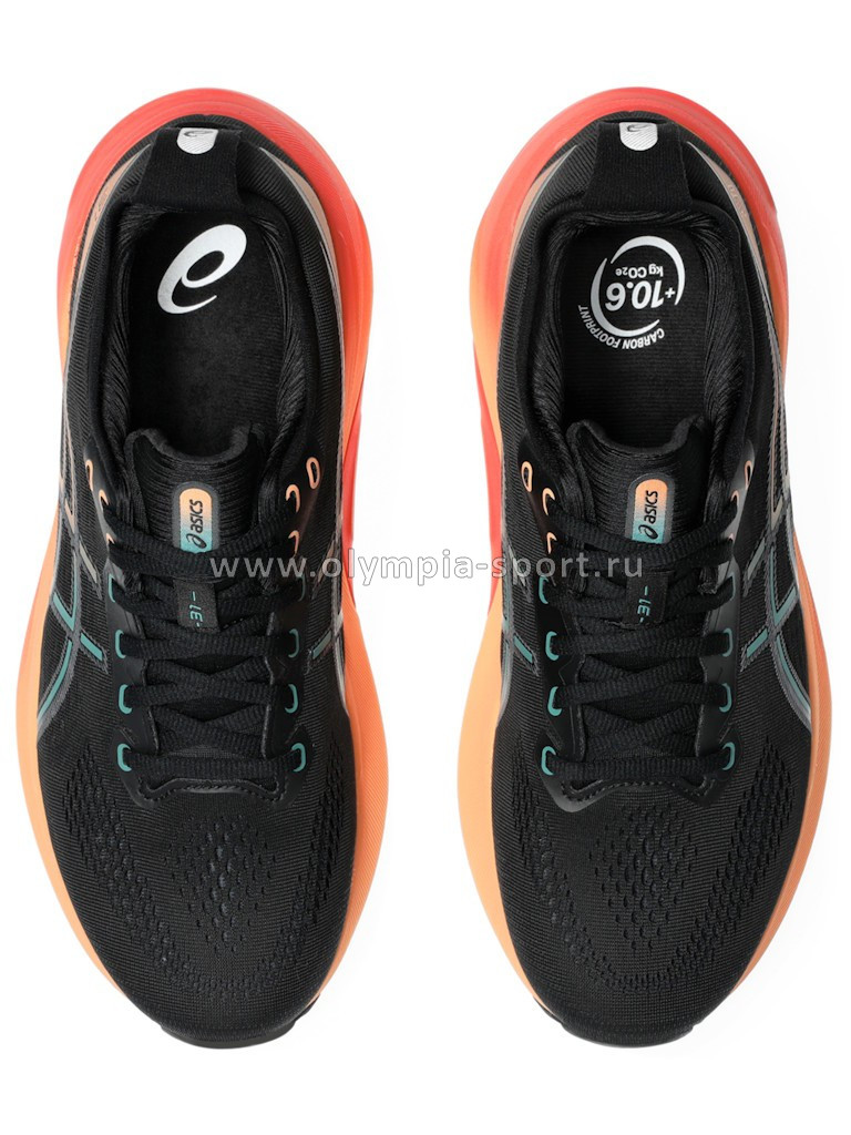 Кроссовки Asics Gel-Kayano 31 1011B867-004
