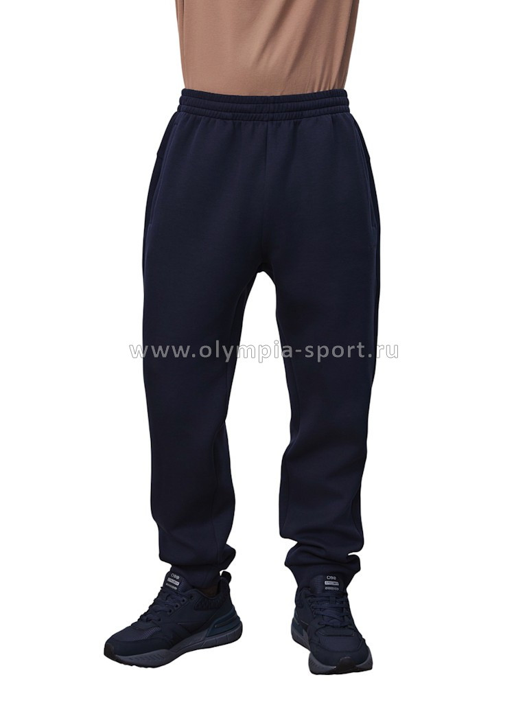 Брюки мужские Strobbs E2379-2 синий