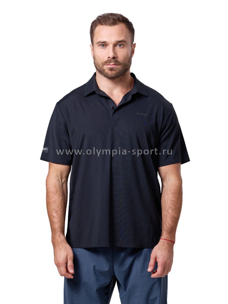 Рубашка-поло мужская Strobbs E2391-2 синий