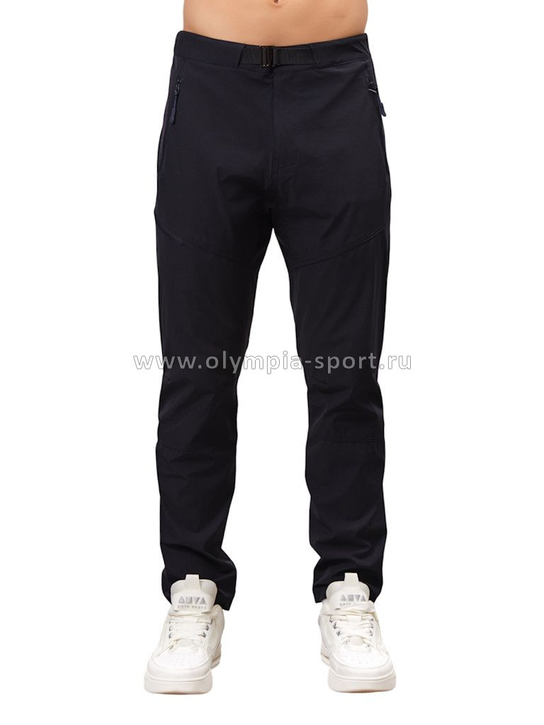 Брюки мужские Strobbs E2387-2 синий