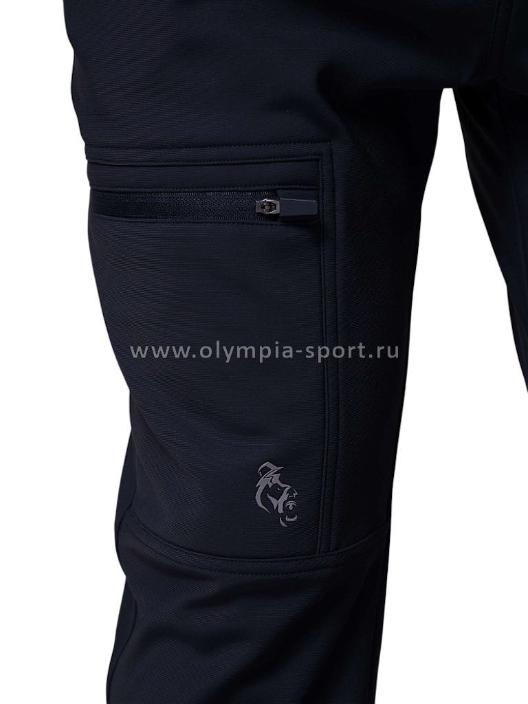 Брюки мужские Strobbs E2415-2 темно-синий